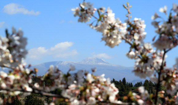 22일 오후 제주 서귀포시 안덕면 화순리에서 바라본 한라산 정상부에 상고대가 피어 있다. 2021.3.22  연합뉴스