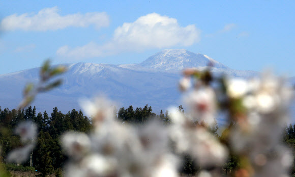 22일 오후 제주 서귀포시 안덕면 화순리에서 바라본 한라산 정상부에 상고대가 피어 있다. 2021.3.22  연합뉴스