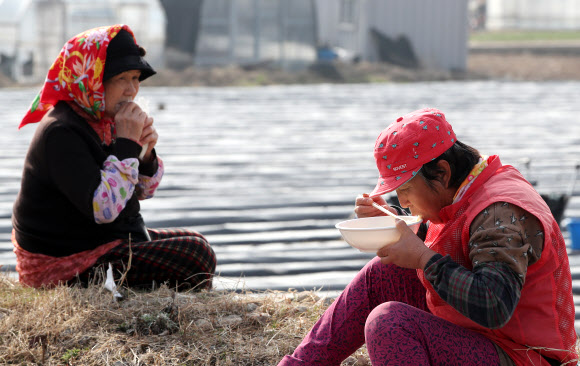 본격적인 영농철이 시작된 23일 오전 강원 춘천시 서면 신매리에서 봄 감자를 심던 농민들이 참을 먹고 있다. 2021.3.23  연합뉴스