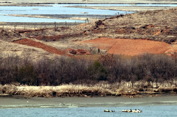 24일 경기도 파주시 오두산 통일전망대에서 바라본 북한 황해북도 개풍군에서 북한군이 철조망과 임진강 사이의 텃밭 위를 이동하고 있다. 2021.3.24  연합뉴스