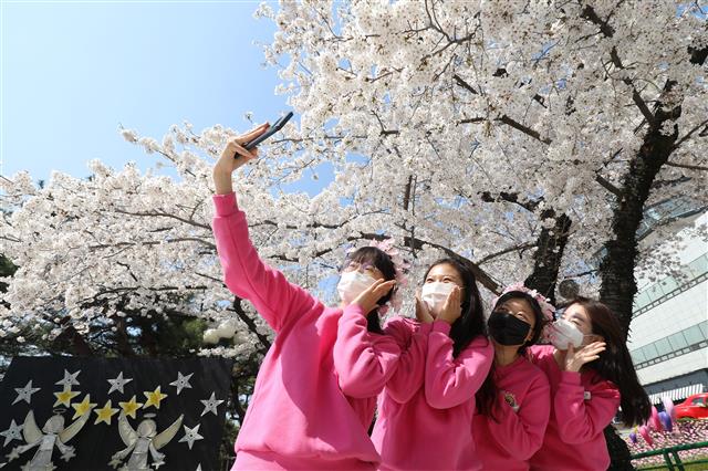25일 완연한 봄날씨 속에 대구 달서구 놀이공원 이월드에서 점심 식사를 마친 직원들이 활짝 핀 벚꽃 아래서 기념사진을 찍고 있다.  이날 대구의 낮 최고기온은 평년보다 5도가량 높은 21도를 넘었다. 이월드는 다음 달 4일까지 ‘별빛 벚꽃 시즌, 다시 벚꽃 피다’를 주제로 다양한 이벤트를 마련한다. 2021.3.25 뉴스1