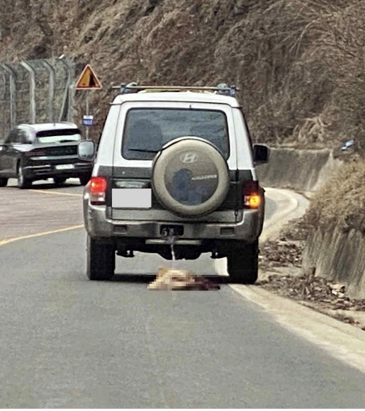 경북 상주에서 SUV 차량에 매달린 개 한 마리가 운전자의 학대로 처참하게 죽었다는 신고가 접수돼 경찰이 조사에 나섰다. 동물보호단체는 이 개가 죽기 직전까지 시속 60∼80km로 예상되는 차의 속도를 따라잡으며 달렸을 것으로 예상했다. 2021.3.25.  동물자유연대 제공