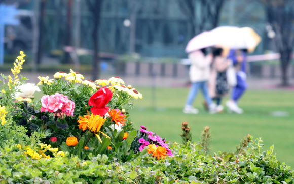 봄비 내린 서울시청 광장