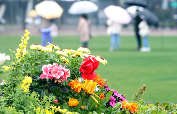봄비 내린 서울시청 광장