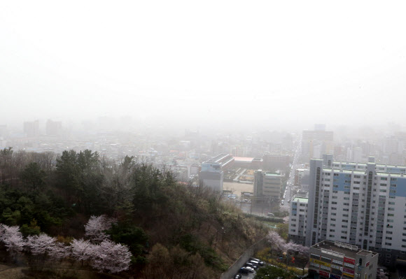 미세먼지에 갇힌 포항