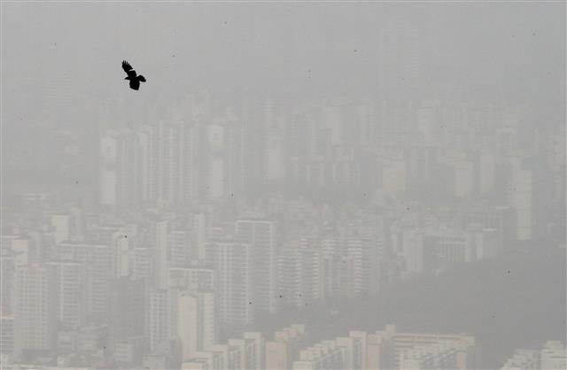 ‘파란하늘 날고 싶어요’