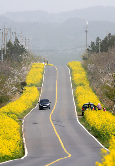 ‘성큼 흘러가는 봄이 아쉬워’