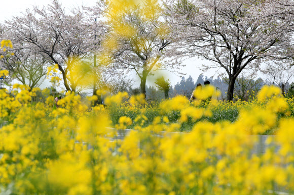 ‘성큼 흘러가는 봄이 아쉬워’