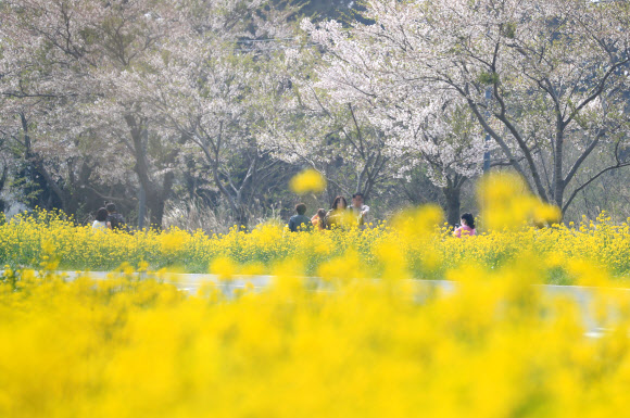 ‘성큼 흘러가는 봄이 아쉬워’