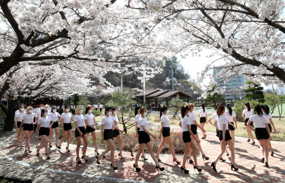 벚꽃 향기와 함께 워킹