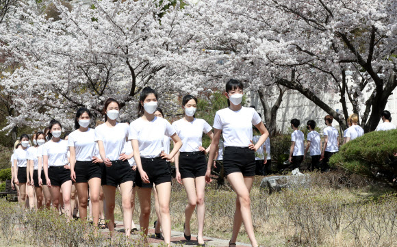 벚꽃 향기와 함께 워킹