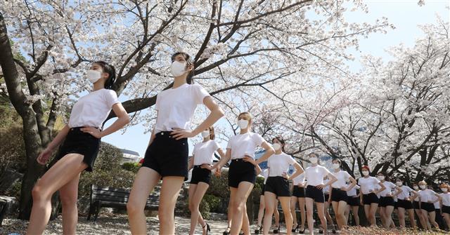 대덕대 벚꽃  워킹 수업