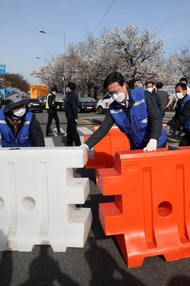 통제되는 여의서로 벚꽃길