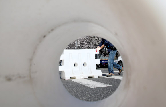 통제되는 여의서로 벚꽃길