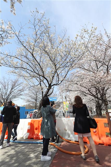 아쉬운 상춘객들