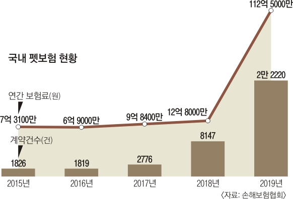 국내 펫보험 현황