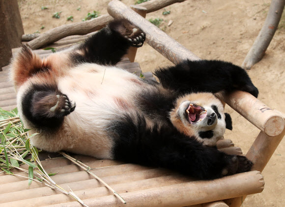 나른한 봄날 오후