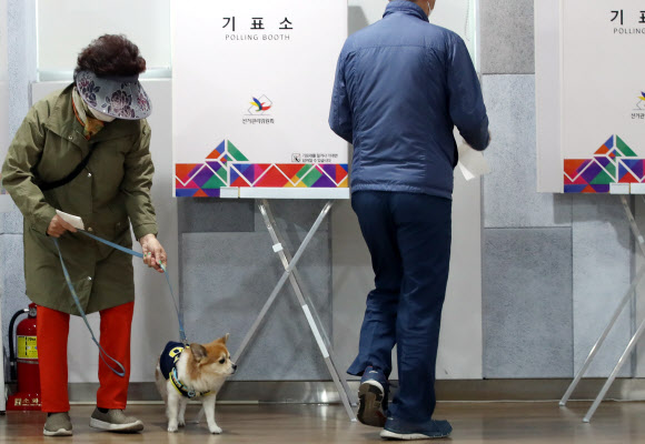 사전투표, 견공도 궁금해!