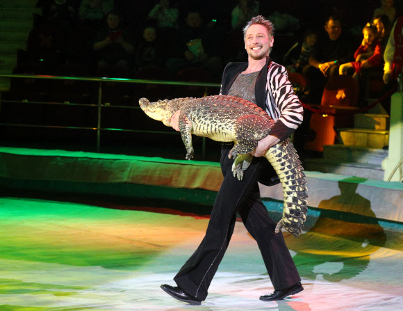 IVANOVO, RUSSIA ? APRIL 3, 2021: A tamer walks with a crocodile in his arms during the Feyeriya [Extravaganza] Show at the Ivanovo State Circus. On 3 April 2021, the circus resumed performances after being shutdown for a year in connection with the COVID-19 pandemic. Vladimir Smirnov/TASS/2021-04-04 11:33:52/ <연합뉴스