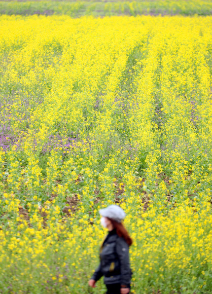 ‘아직 봄이야’