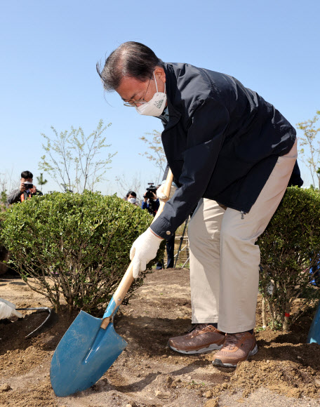 문재인 대통령이 5일 마포구 서울복합화력발전소에서 열린 제76회 식목일 기념행사에서 나무를 심고 있다. 2021.4.5  연합뉴스