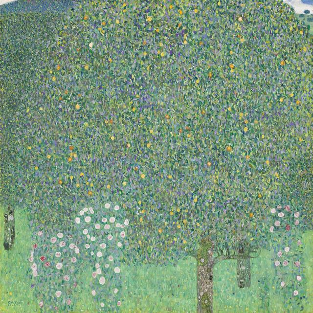 구스타프 클림트, ‘나무 아래 장미 덤불’, 1905년경 (110×110㎝, 개인 소장)