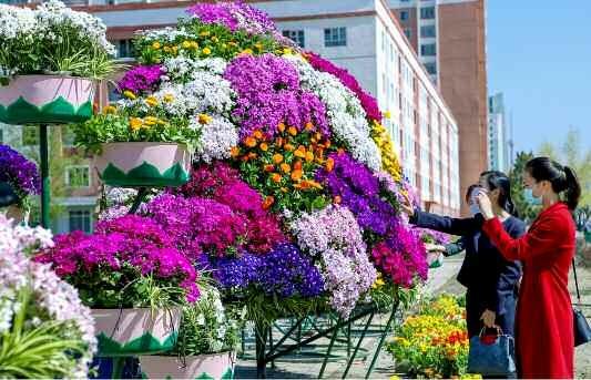 북한 노동당 기관지 노동신문은 11일 ‘4월의 봄명절을 앞두고 수도에 펼쳐진 꽃바다’라는 제목으로 여러 장의 사진을 실었다. 신문은 “태양절(김일성 주석 생일)을 앞둔 수도의 거리마다에 펼쳐진 꽃바다, 그윽한 꽃향기 속에 몸을 잠그어보면 위대한 수령님께서 탄생하신 4월은 말그대로 꽃계절이라는 생각이 든다”라고 전했다.  평양 노동신문 뉴스1