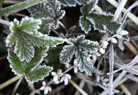 서리 내린 춘천