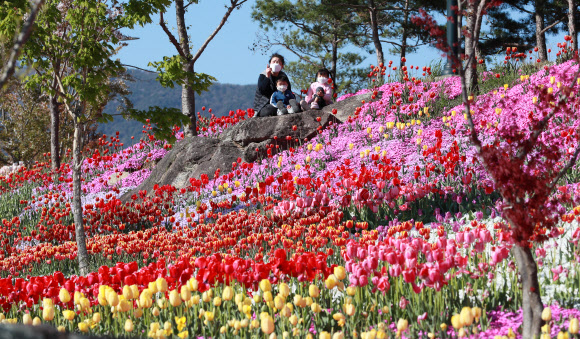 형형색색 꽃 피운 함양생태체험장