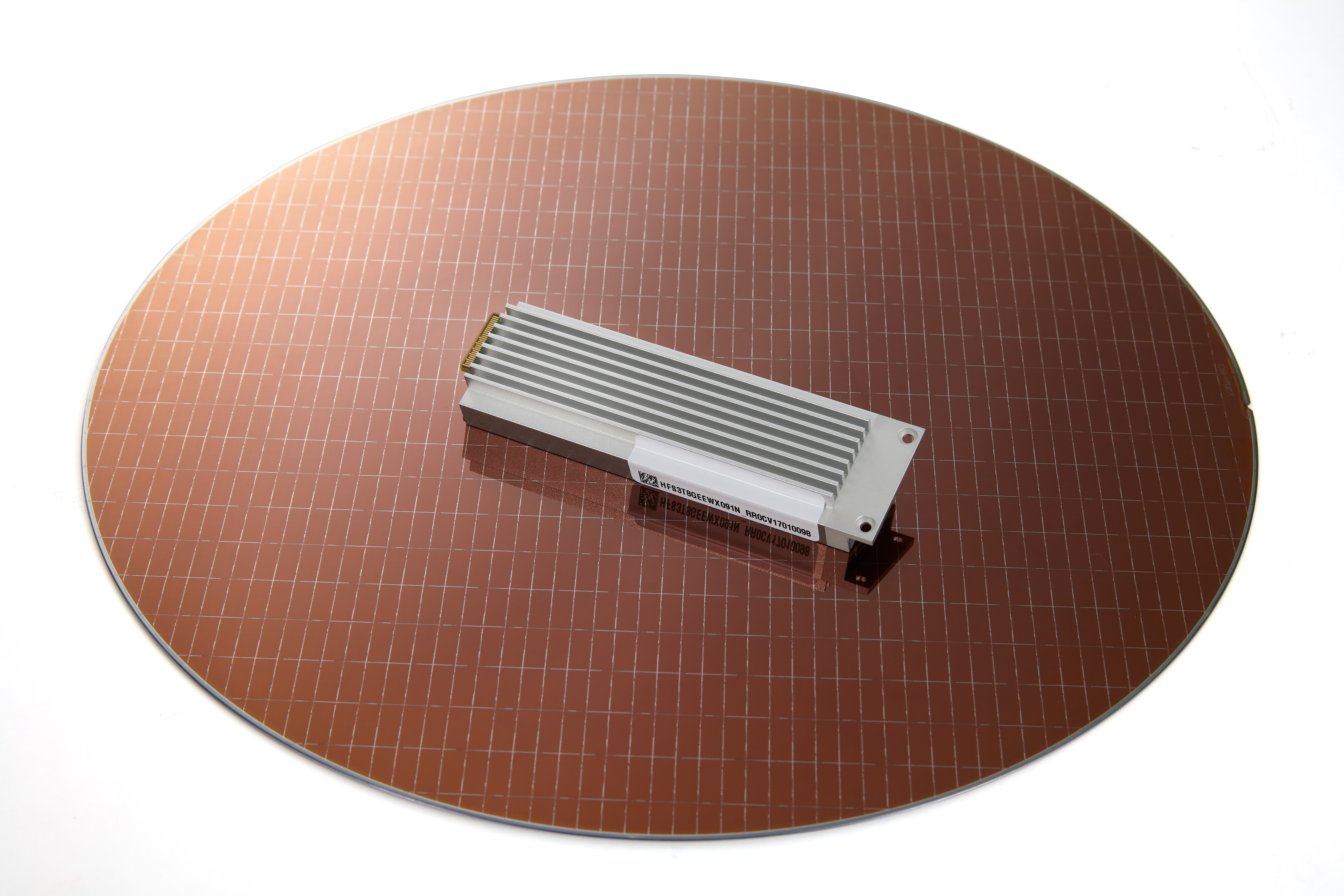 이번에 양산을 시작한 SK하이닉스의 기업용 솔리드 스테이트 드라이브(SSD) PE8110 E1.S. GK하이닉스 제공