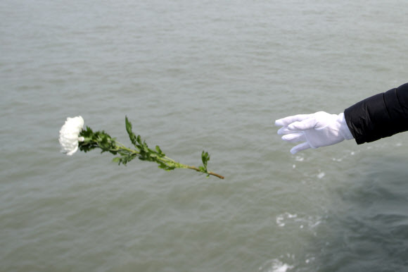 세월호 참사 해역에 헌화