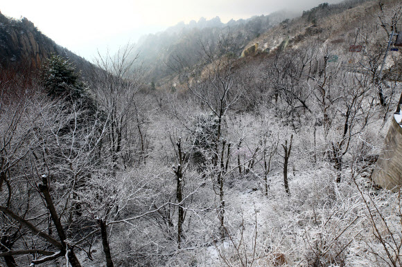 눈 내린 한계령