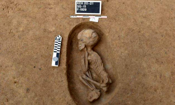 이집트서 새로 발굴된 매장 무덤