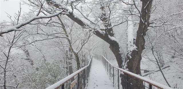 ‘5월 하루 전 겨울왕국’