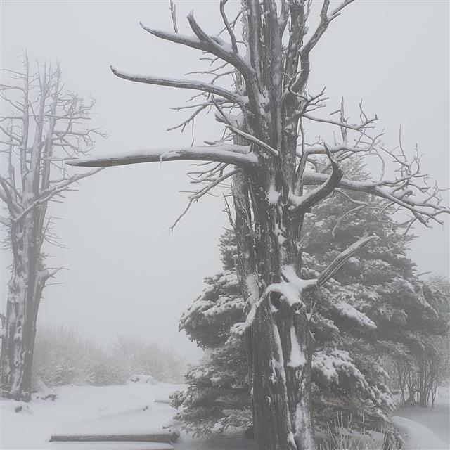 ‘다시 찾아온 겨울’