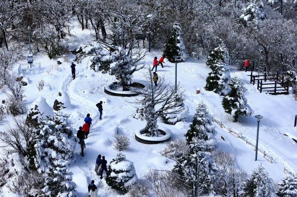 겨울로 돌아간 발왕산