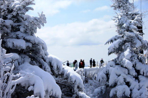 5월에 즐기는 설경