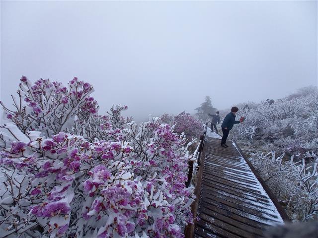 지리산 노고단에서 본 ‘5월의 눈’