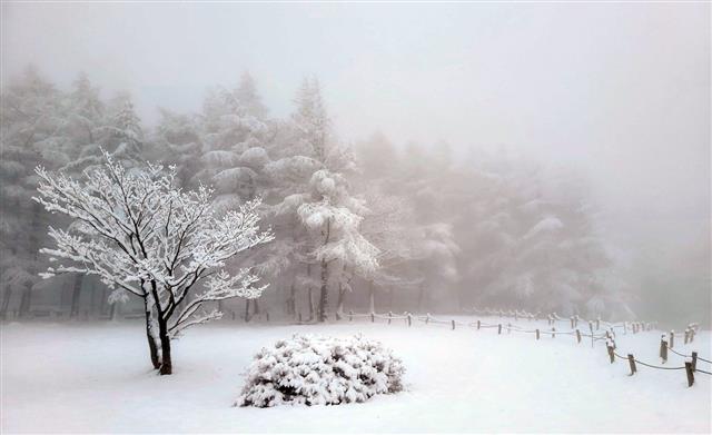 다시 찾아온 겨울
