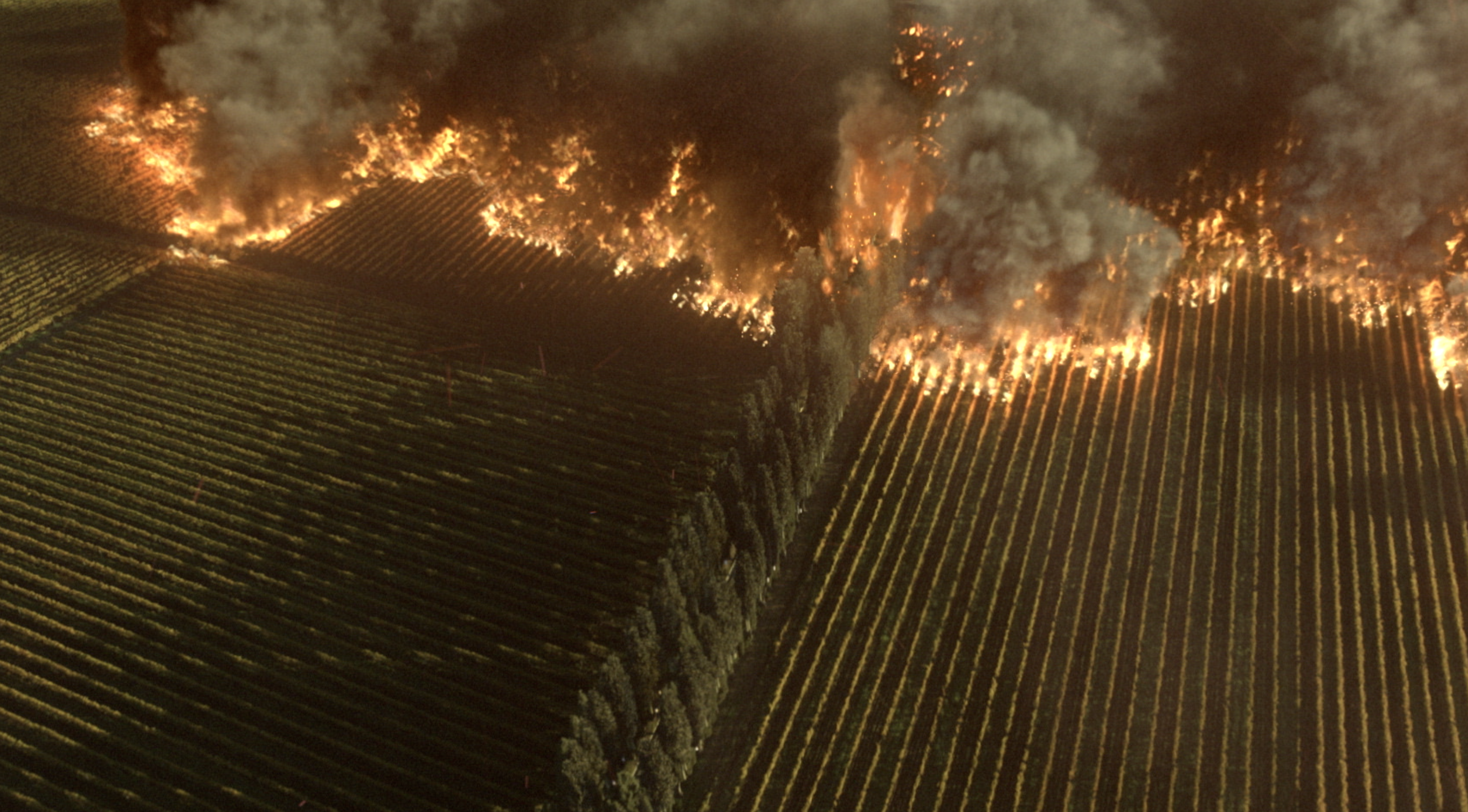 드라마 ‘빈센조’에서 이탈리아 마피아 조직원의 포도밭을 불태우는 장면은 현지 모습을 카메라로 담아 온 뒤 시각효과로 만들었다. 코로나19 상황에서 현지 촬영이 불가능한 장면들의 대안으로 VFX가 활용된 사례다. M83 제공