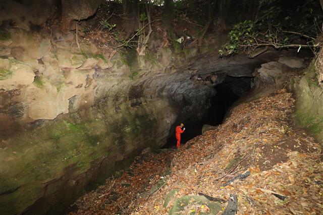 세계유산축전 관계자들과 취재진이 4일 오후 제주 용암동굴이 분포한 ‘불의 숨길’ 구간을 탐방하고 있다. 오는 10월 1일부터 17일까지 17일 동안 진행되는 2021 세계유산축전에서는 비공개 장소였던 벵뒤굴과 만장굴 전구간이 일시적으로 공개된다.2021.5.4 뉴스1