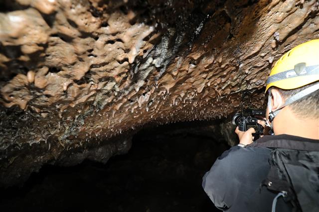 세계유산축전 관계자들과 취재진이 4일 오후 일반인 출입이 금지된 제주 벵뒤굴을 탐방하고 있다. 오는 10월 1일부터 17일까지 17일 동안 진행되는 2021 세계유산축전에서는 비공개 장소였던 벵뒤굴과 만장굴 전구간이 일시적으로 공개된다.2021.5.4 뉴스1