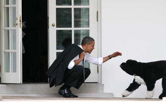 버락 오바마 전 미국 대통령이 8일(이하 현지시간) 세상을 떠난 퍼스트 도그 보가 지난 2012년 3월 15일 백악관 오벌오피스 바깥에서 대통령을 반갑게 맞고 있다. AFP 자료사진 연합뉴스 
