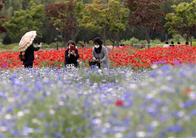 ‘봄꽃이 가득’
