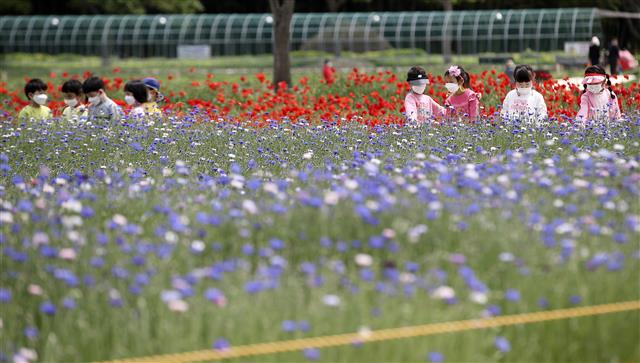 ‘봄꽃이 궁금해’