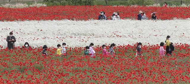봄꽃 향기 가득한 울산 태화강 국가정원