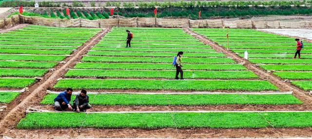 북한 “각지 농촌, 모내기 끝내기 위한 사업에 집중”