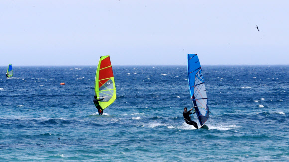 벌써 성큼 다가온 무더위