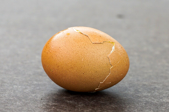 전남 해남군 현산면에 사는 김영식(54)씨가 키우는 닭이 낳은 껍질이 두 개인 달걀. 2021.5.17  연합뉴스