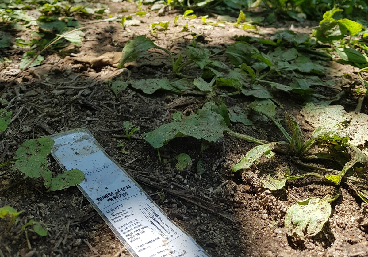 ‘묻지마 살인’ 사건이 일어난 인제 등산로 입구.  연합뉴스